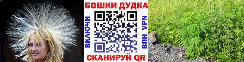 Псилоцибиновые грибы Богучар