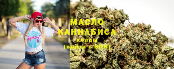 тгк Пересвет