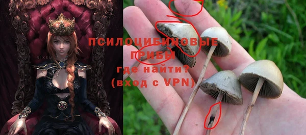 а пвп мука Пестово